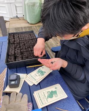 With black seeds in one open palm, a person places a seed in a small cube of dark soil, one of many in a tray. 