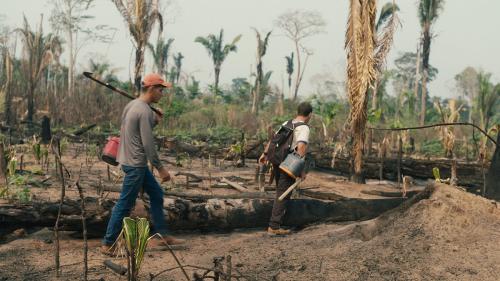 Two men walk through what was once a forest, now burned by fire and barren from logging. 