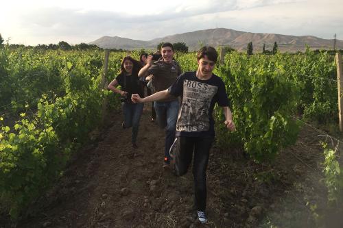 Teens run through a green vineyard.
