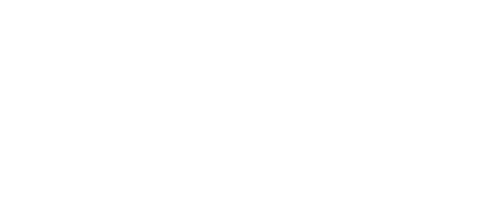 Language and Archives Mentorship Program