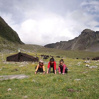 Stories of a Tibetan Wild Child-Turned-Linguist