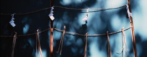 A blue wall shadows by branches of a tree, with Japanese paper ornaments  hanging.
