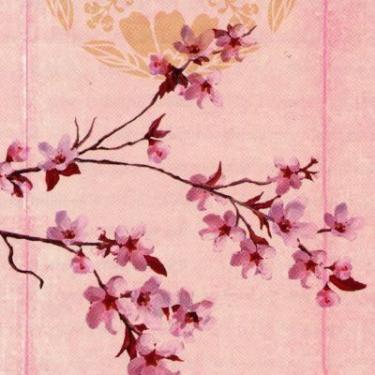 Artwork of pink cherry blossoms on a pink background.