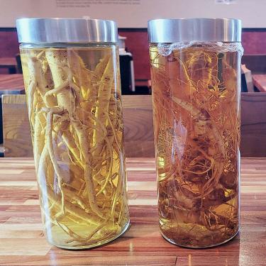 Two cylindrical bottles on a table, each containing clear liquid and a plant root with many thin tendrils.