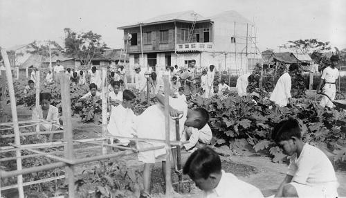 A Century of Community Gardens