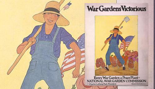 A Century of Community Gardens
