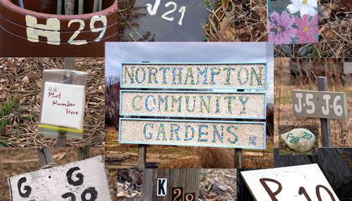 A Century of Community Gardens