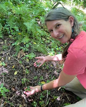 A woman kneeling on the ground smiles, facing the camera, holding the green leaves of a ginseng plant in her  hands.