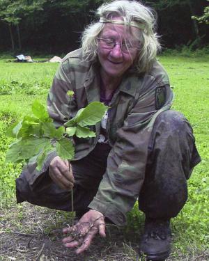 An elder woman crouches on the ground, holding up a green-leafed plant with a long stringy root.