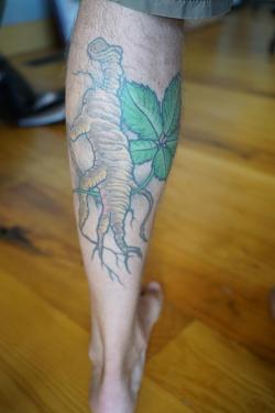 A calf tattoo of a tan ginseng root and green ginseng leaf. 