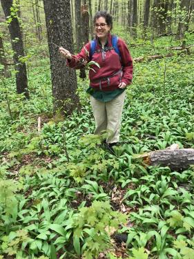 A woman wearing a red sweatshirt and blue backpack stands in the woods holding up a plant root. 