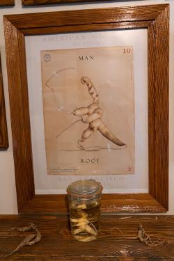 A jar of white ginseng root and two additional brown roots rest on a wooden shelf. Behind the shelf is a framed print identified as Man Root from the American Ginseng Museum. 