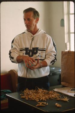 A man wearing an IOU sweatshirt stands behind a table covered in tan ginseng roots. 