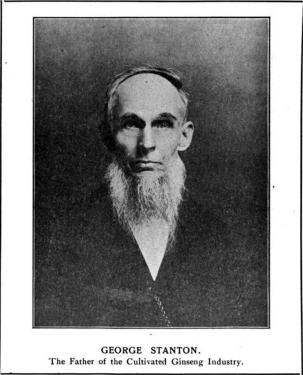 A man with a long, bushy, gray beard looks directly at the camera. Black and white. Two lines of black text underneath portrait: George Stanton. The Father of the Cultivated Ginseng Industry. 