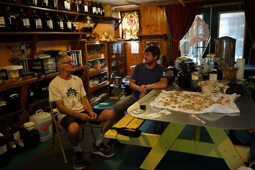 Two men sit facing each other, one at an indoor picnic table and the other on a folding chair. On the picnic table is a white towel covered in ginseng roots. 