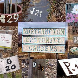 A Century of Community Gardens