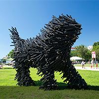 The Festival Puli
