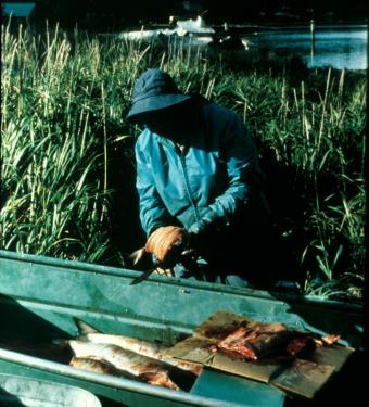 Photo by Richard Dauenhauer, courtesy Ralph Rinzler Folklife Archives and Collections, Smithsonian Institution