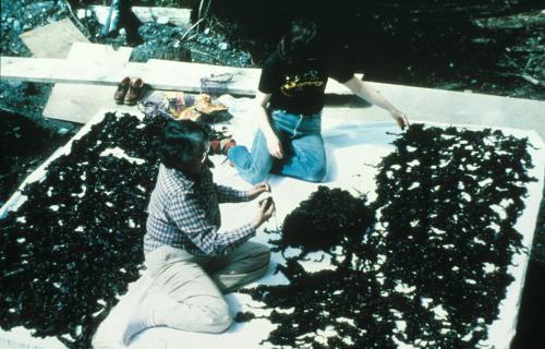 Photo by Richard Dauenhauer, courtesy Ralph Rinzler Folklife Archives and Collections, Smithsonian Institution