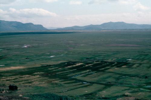 Photo by Oswaldo Rivera Sundt, courtesy Ralph Rinzler Folklife Archives and Collections, Smithsonian Institution