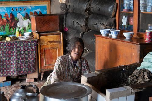 ཚེ་རིང་མཚོ་ཡིས་ཐབ་ཀ་ལ་མེ་འཇོག་བཞིན་པ།མཚོ་སྔོན་ཞིང་ཆེན།