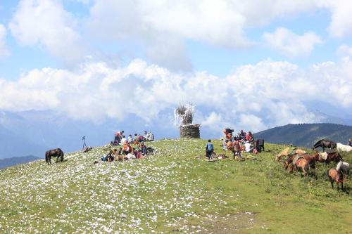 རྟ་རྒྱུགས་དུས་ཆེན།རྔ་བ།