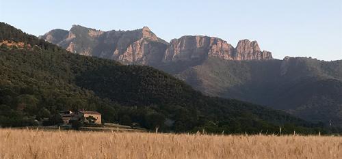 SomVallBas