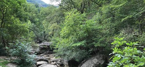 SomVallBas