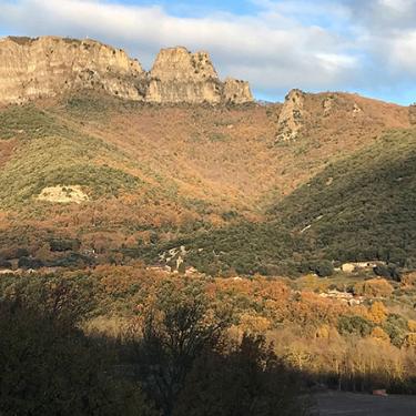 Sunlit mountain, with roofs of homes and a bell tower peaking through the trees.