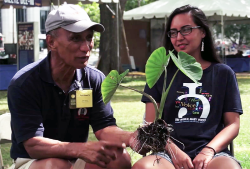 Ka&lsquo;ai and her uncle Earl Kawa&lsquo;a, a taro farmer and therapist, explain the central role of the taro plant in the Hawaiian creation story and the importance of storytelling to the preservation of the Hawaiian language.