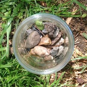 Step 1: Fill the bottom of your jar with a layer of rocks.