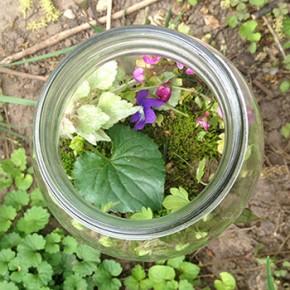 Step 3: Add some clippings of plants, such as grass, moss, clovers, and flowers.