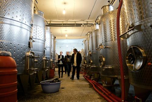 Irina, My Armenia project specialist Hamazasp Danielyan, and Vahe walk through the Semina Cooperative Winery.