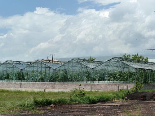 Large greenhouses now allow farmers in Voskevaz to grow strawberries out of season, and the reputation of their fruit has grown so highly that vendors in Yerevan may falsely claim the fruit&rsquo;s origin. Photo by Diana N'Diaye, Smithsonian