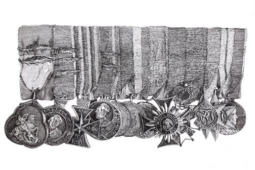 Black-and-white illustration of a dozen military medals lined up.