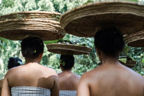 From behind, several women balance short but wide baskets on their heads.