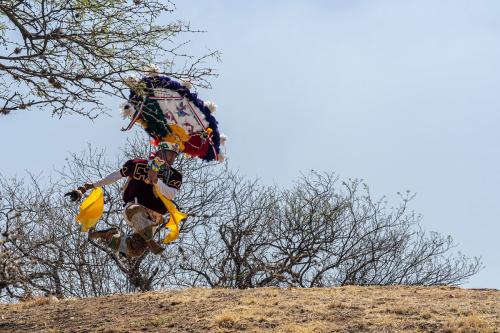 A man in feathered blue, white, and red headdress dances outdoors on a hill. Barren trees are in the background.
