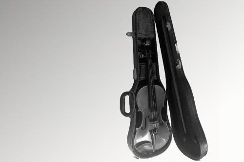 violin