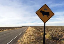 The road to Santa Fe. Photo by Sabrina Lynn Motley
