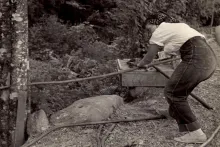 A woman in high-waisted jeans bends over in a clearing in the woods, pushing a long thin tool through a tree. The background is cluttered with other tools and sculpting materials.